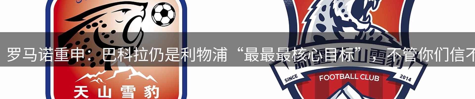 平台资讯