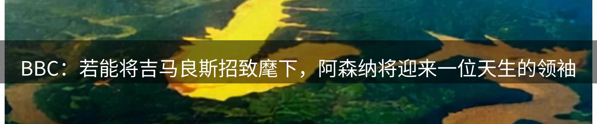 平台资讯